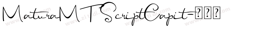 MaturaMT ScriptCapit字体转换
